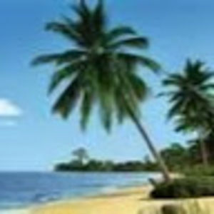 Meet your Posher, Rae